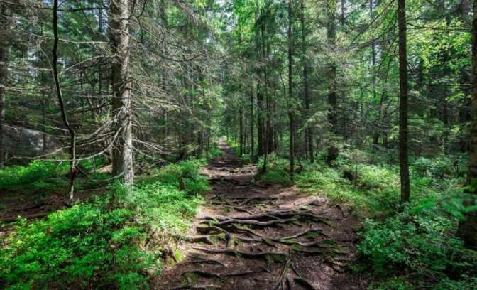 nuuksio national park helsinki cruises oostzee